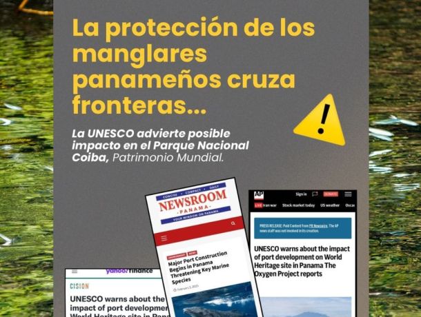 UNESCO pide a Panamá revisar el proyecto portuario de Puerto Barú por posibles impactos en el Parque Nacional Coiba image